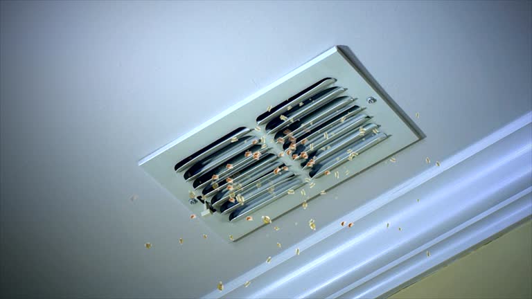 Best Duct Cleaning Specialists  in Roosevelt, UT